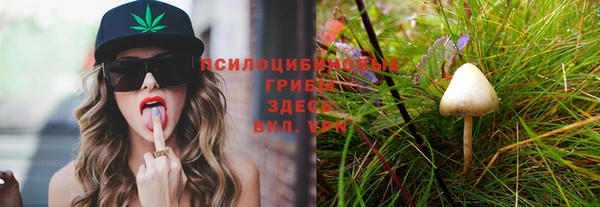 винт Нефтегорск