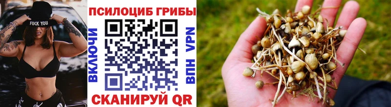 купить   Рославль  Псилоцибиновые грибы мухоморы 