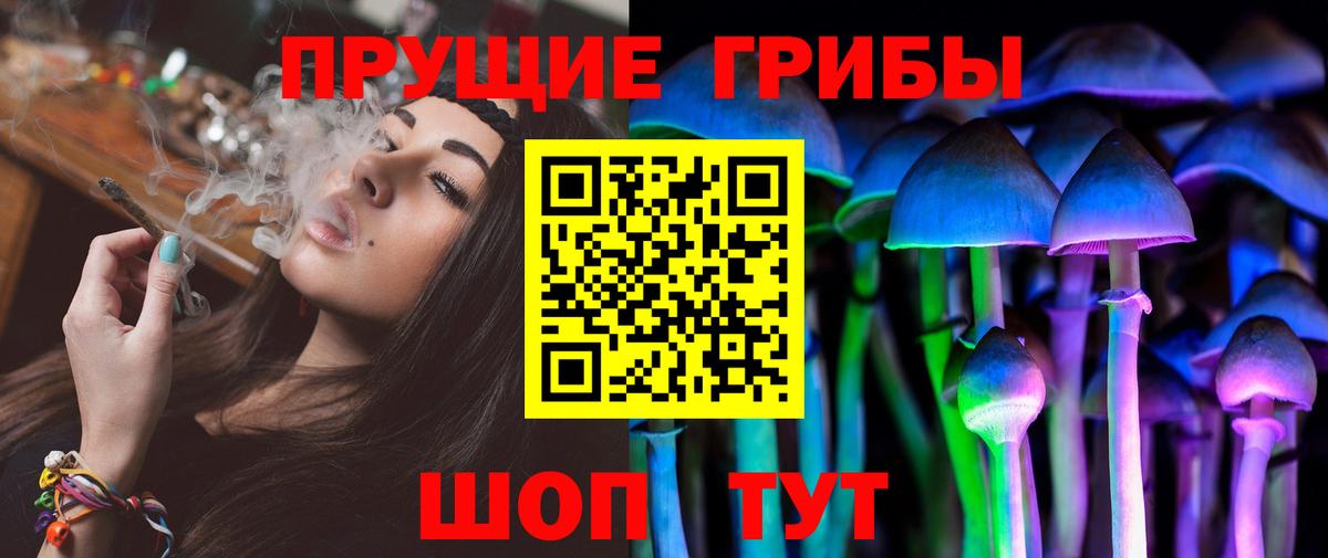 Псилоцибиновые грибы Psilocybine cubensis Рославль