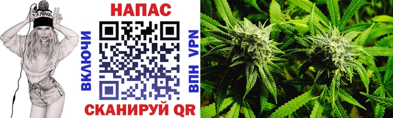 Марихуана Amnesia  где можно купить наркотик  Рославль 